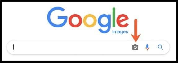 جستوجوی تصاویر جستوجوی تصاویر