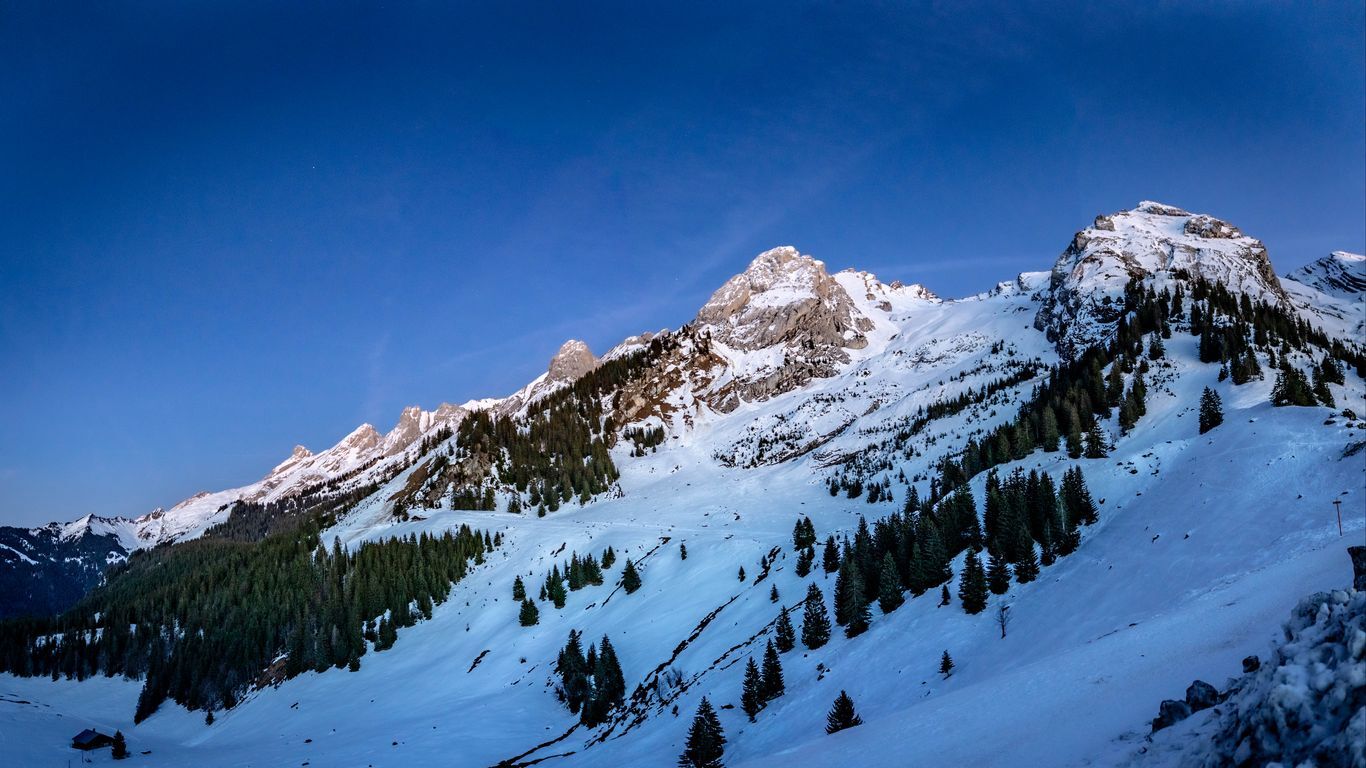 منظره برفی منظره برفی