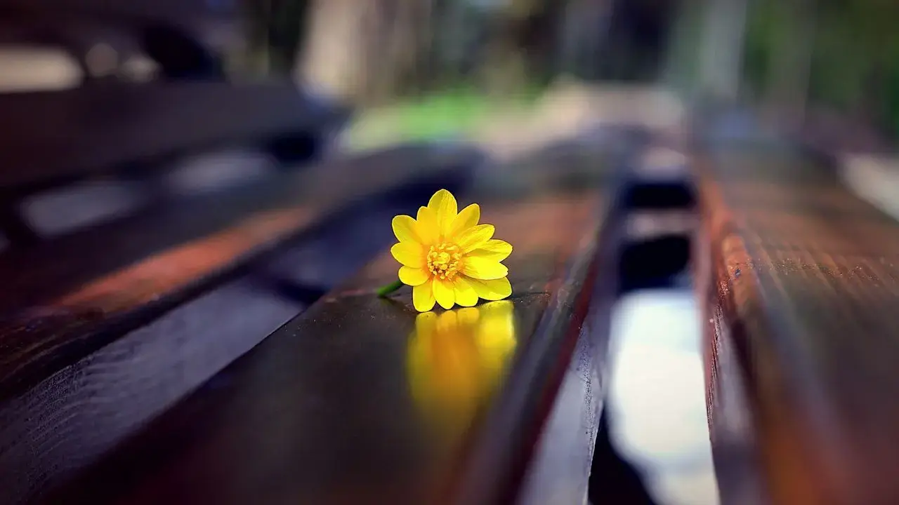 تصاویر پس زمینه (۲۲ دی)