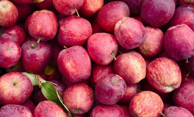 تصاویر پس زمینه (۳ بهمن)