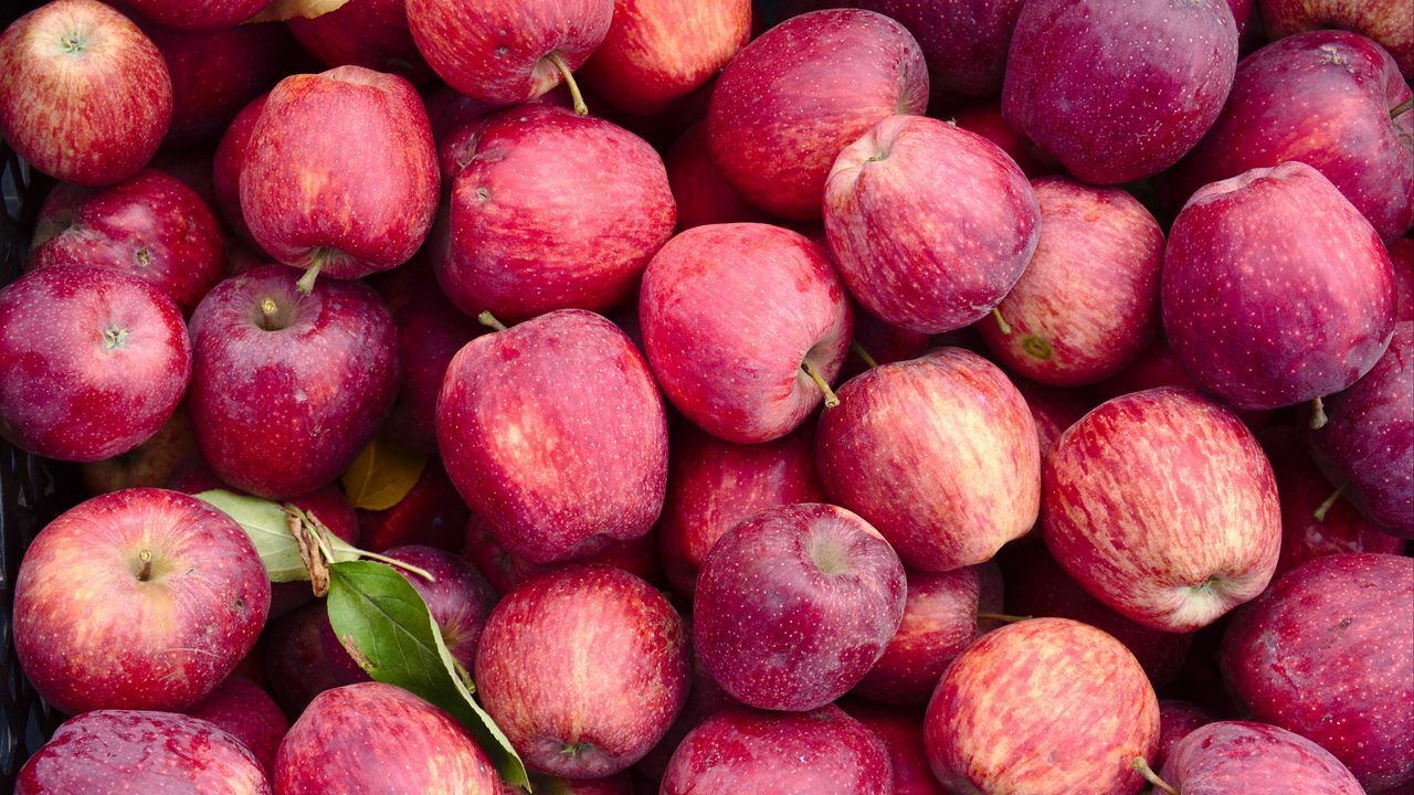 تصاویر پس زمینه (۳ بهمن)