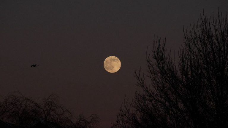 تصاویر پس زمینه (۵ بهمن)