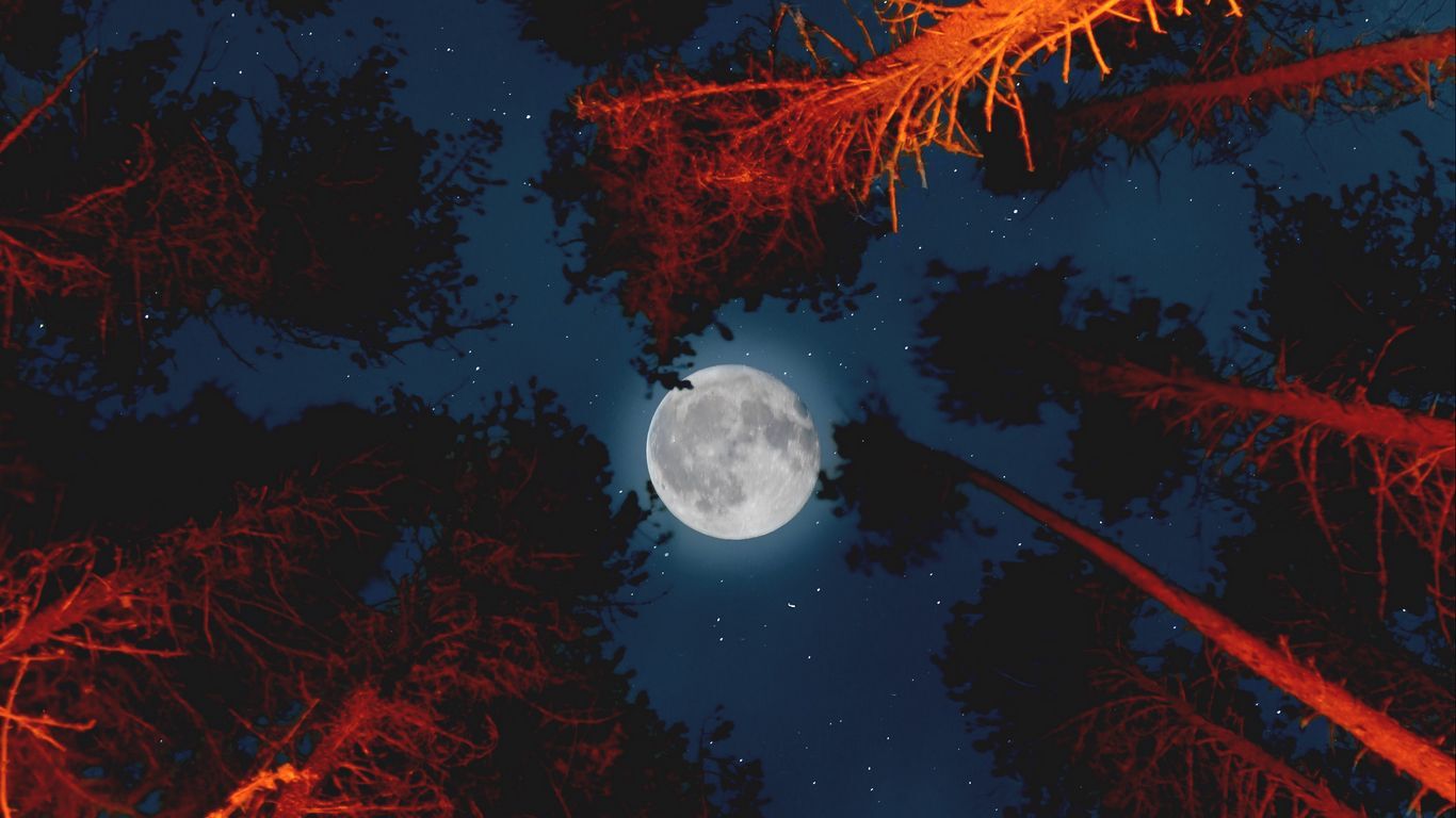 ماه