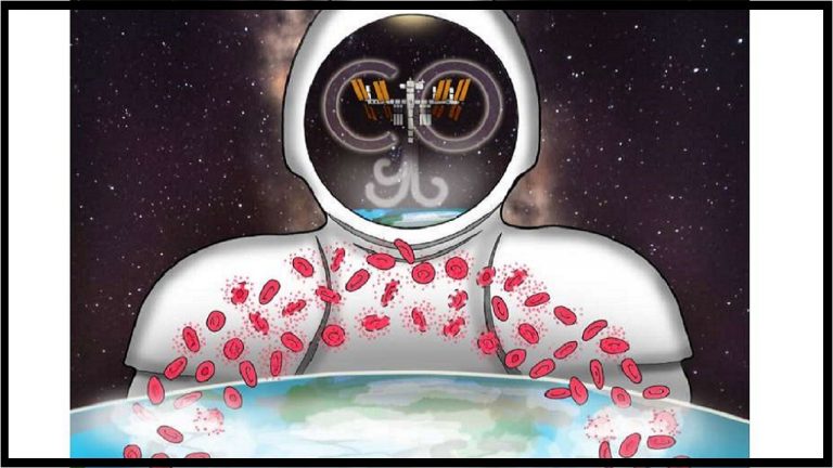 حضور در فضا گلبول‌ های قرمز را از بین می‌ برد