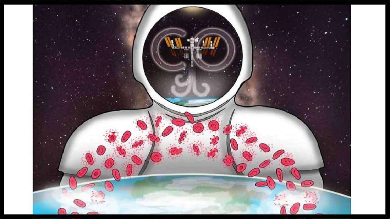 حضور در فضا گلبول‌ های قرمز را از بین می‌ برد