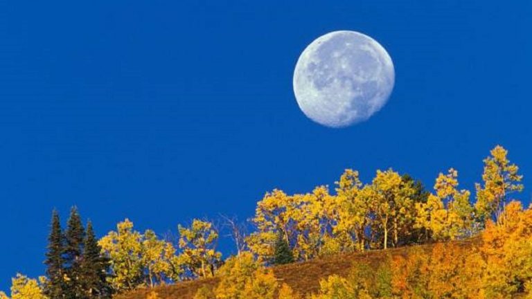دلیل اصلی دیده شدن ماه در آسمان روز