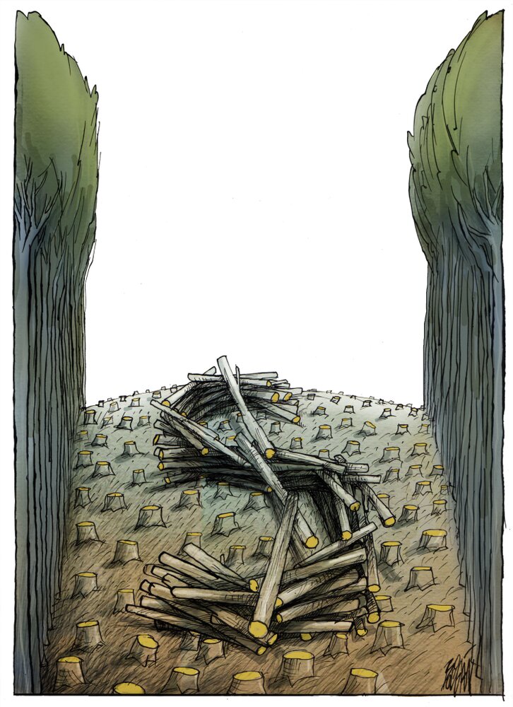 طبیعتی که به پول تبدیل شد!