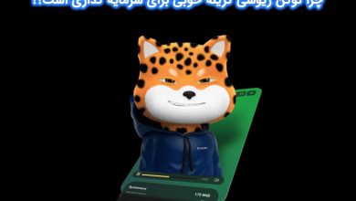 چرا توکن ریوشی گزینه خوبی برای سرمایه‌گذاری است؟