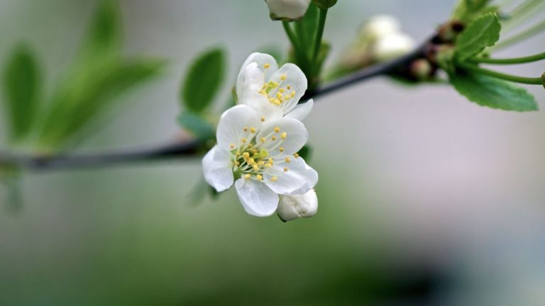 تصاویر پس زمینه (۲۴ بهمن)