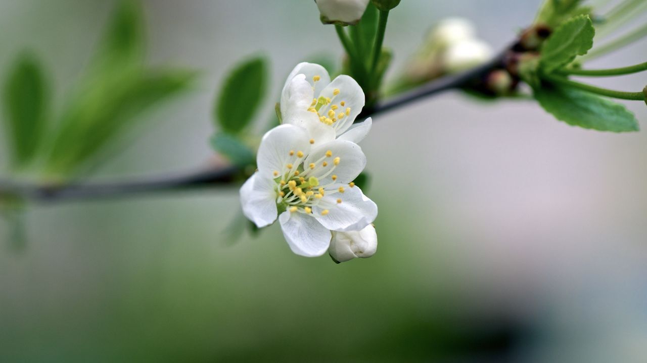 تصاویر پس زمینه (۲۴ بهمن)