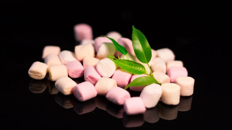 تصاویر پس زمینه (۲۸ بهمن)