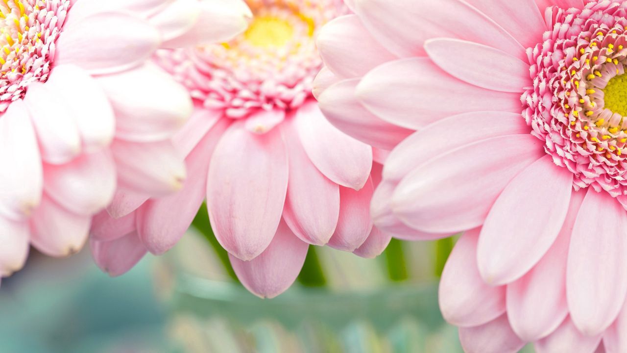 تصاویر پس زمینه (۵ اسفند)