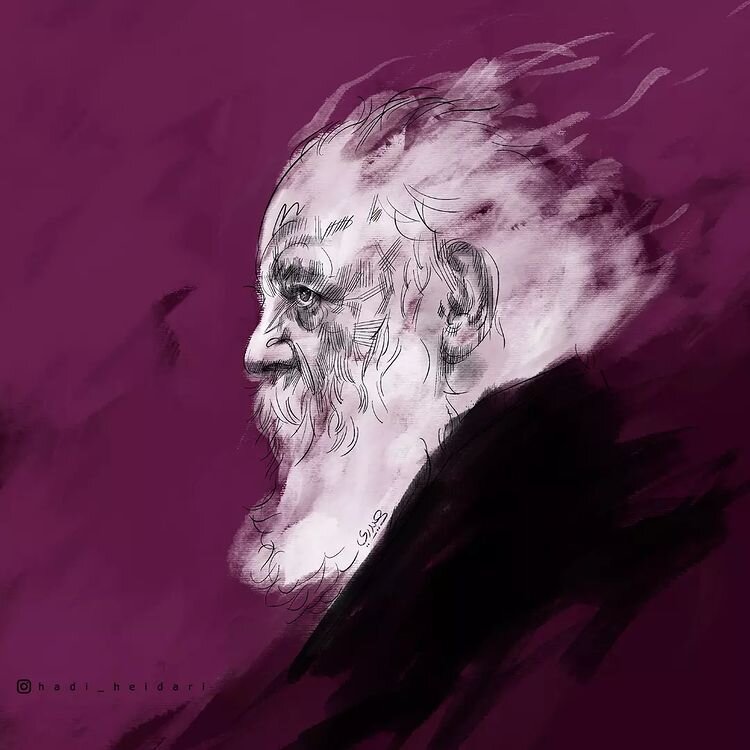 تولدت مبارک آقای سایه!