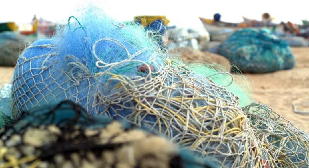 پلاستیک اقیانوسی پلاستیک اقیانوسی