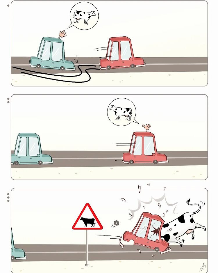 سرشاخ شدن ماشین با گاو!