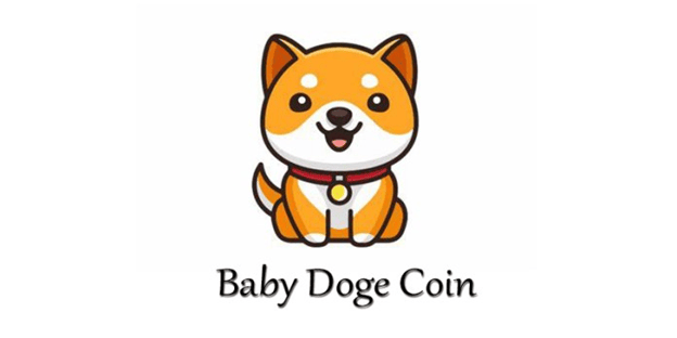ارز دیجیتال BabyDoge و دلیل محبوبیت آن در سال 2022