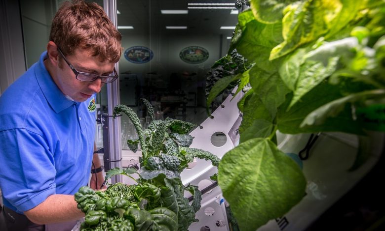 بررسی راه‌های مختلف برای حفظ گیاهان در ایستگاه‌های فضایی