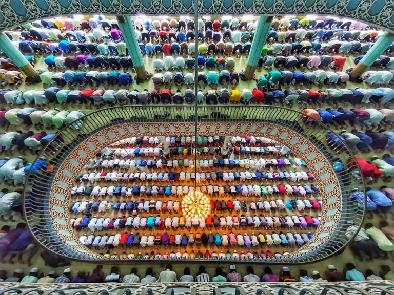 برندگان مسابقه عکاسی با موبایل 2022 مشخص شدند