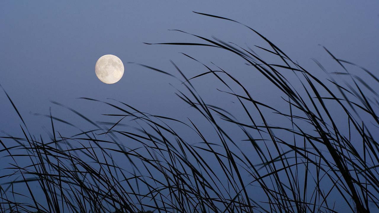 تصاویر پس زمینه (۱۰ اسفند)