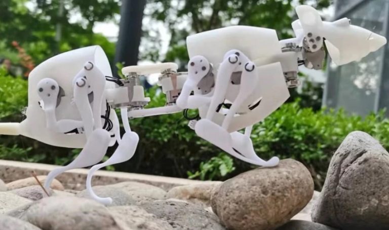 SQuRo؛ موش رباتیکی که در حوادث و بلایای طبیعی به کمک بازماندگان می‌آید