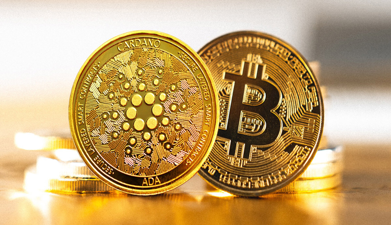 آیا کاردانو در مسیر بیت کوین حرکت می‌کند؟