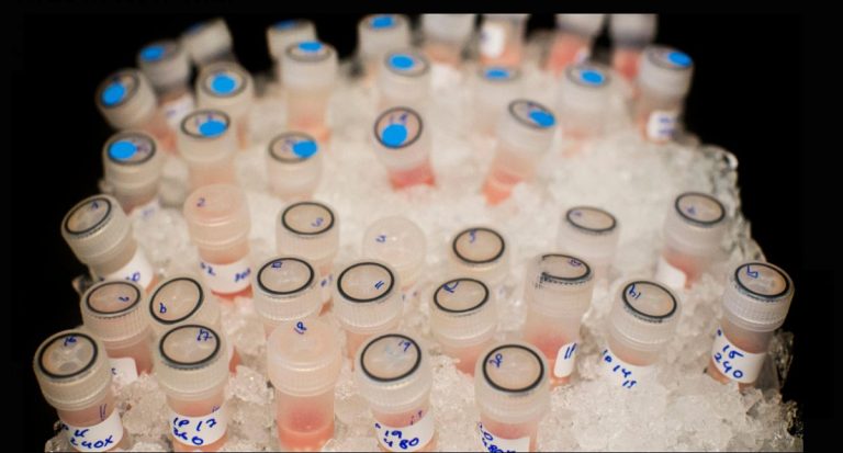 اولین آزمایش بالینی درمان سرطان با ویروس واکسینیا