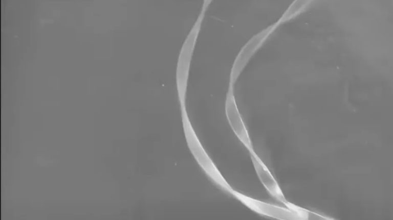 این ربات با طراحی شبیه پاستا راه خود را در ماز به راحتی پیدا می‌کند [تماشا کنید]