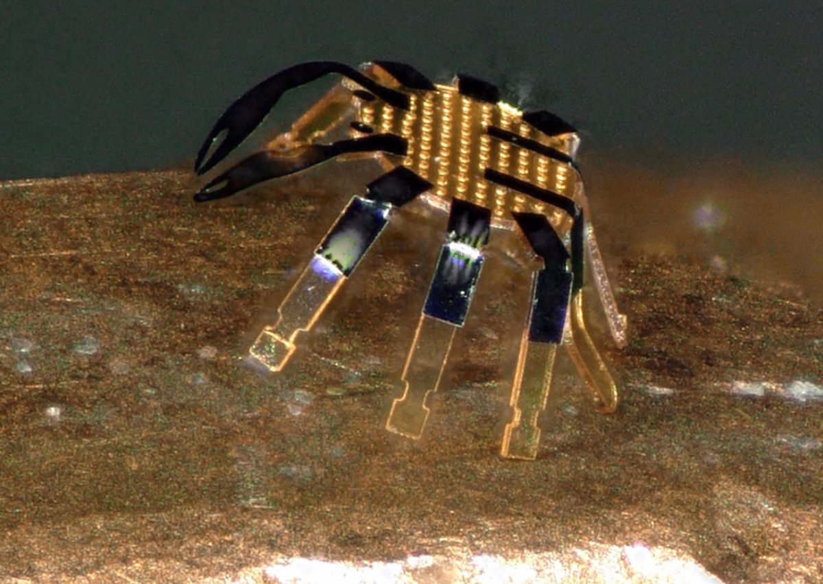 این ربات خرچنگ کنترل از راه دور می‌تواند روی لبه سکه حرکت کند [تماشا کنید]