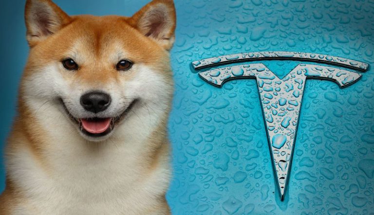 با دوج کوین، تسلا بخرید!