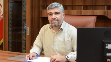 رئیس سازمان فناوری اطلاعات: دستورالعمل اتصال دستگاه‌ها به پنجره واحد خدمات هوشمند دولت آماده شد