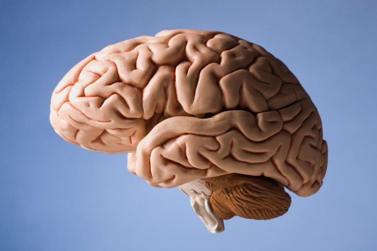 رابطه محل زندگی و ضریب هوشی: محققان IQ دوقلوهای همسان کره‌ای را بررسی کردند