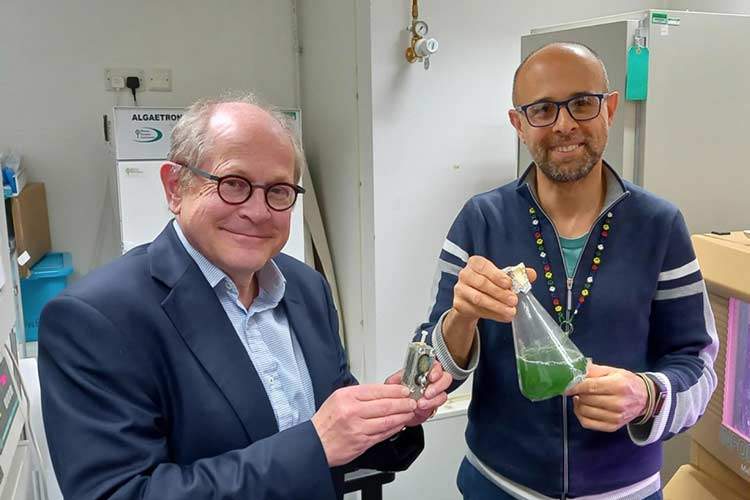 رایانهای که با جلبک کار میکند و باتری آن هرگز خالی نمیشود