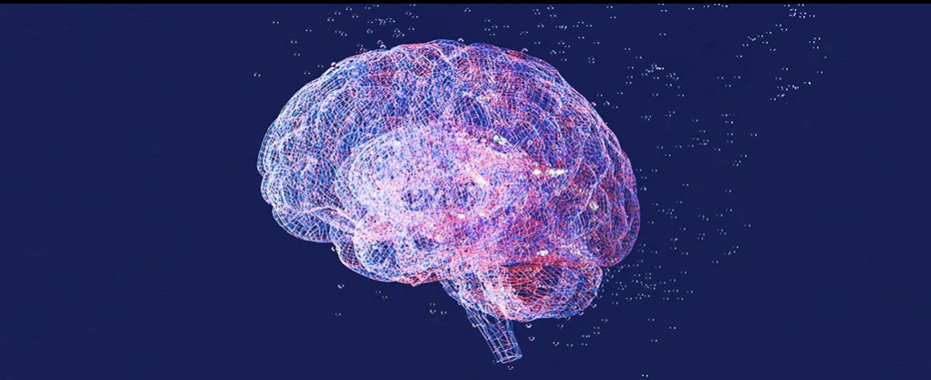 مطالعه جدید: بیهوشی پروپوفول قادر است امواج مغزی پستانداران را به شدت تغییر دهد