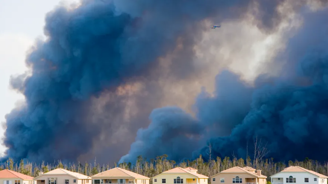 مطالعه جدید: قرارگرفتن در معرض آتش‌سوزی خطر ابتلا به تومور مغزی را افزایش می‌دهد