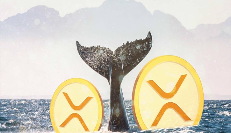 هجوم بی‌سابقه نهنگ‌ها برای شکار ریپل!