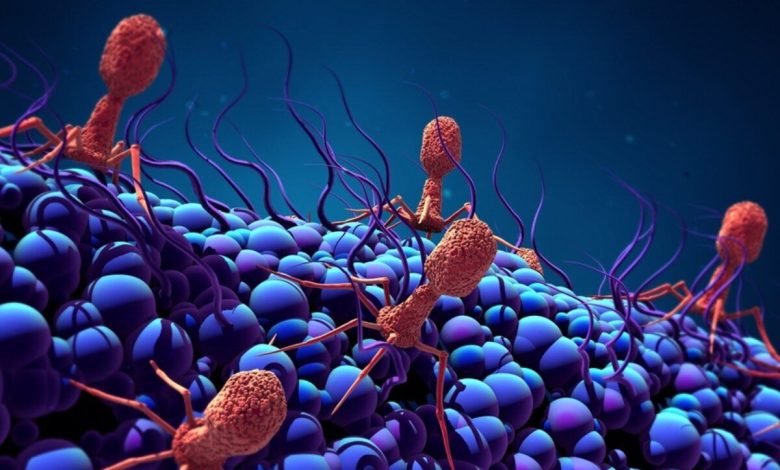 ویروس‌های باکتریوفاژ برای اولین بار در تاریخ عفونت باکتریایی ریه را درمان کردند