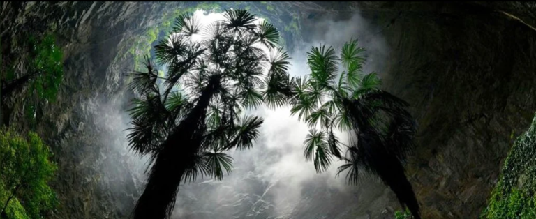 کشف یک فروچاله غول‌پیکر در چین که جنگل مخصوص به خود را دارد