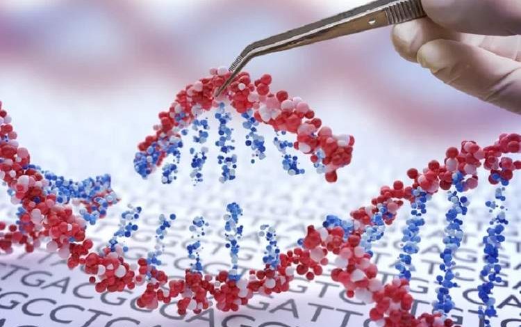 یافتههای جدید درباره امکان ریشهیابی علل سرطانها در DNA