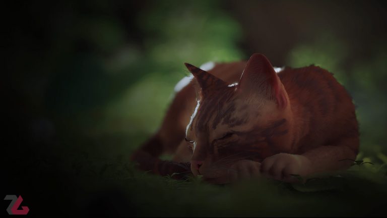 رونمایی از صداپیشه شخصیت اصلی بازی Stray