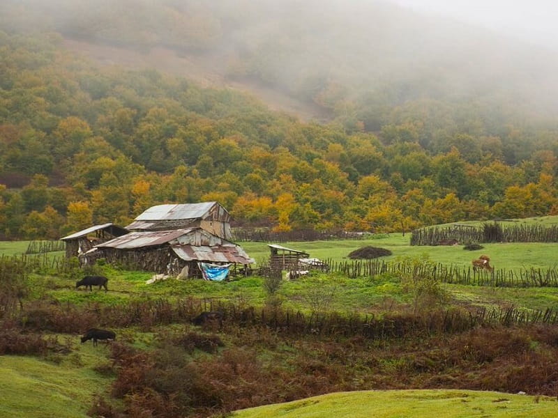 منطقه دیلمان 