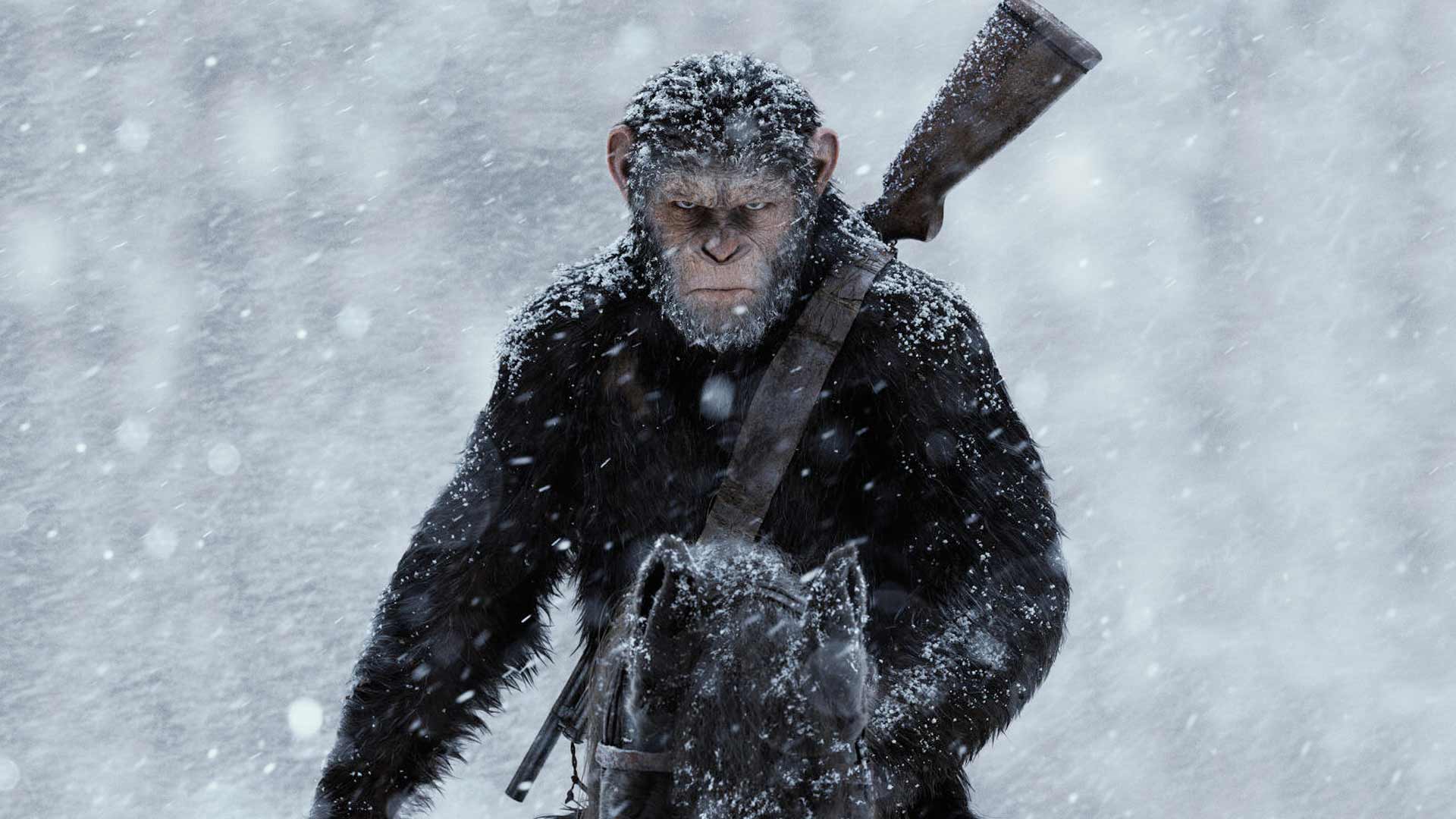 مشخص شدن اولین بازیگر فیلم Planet of The Apes جدید
