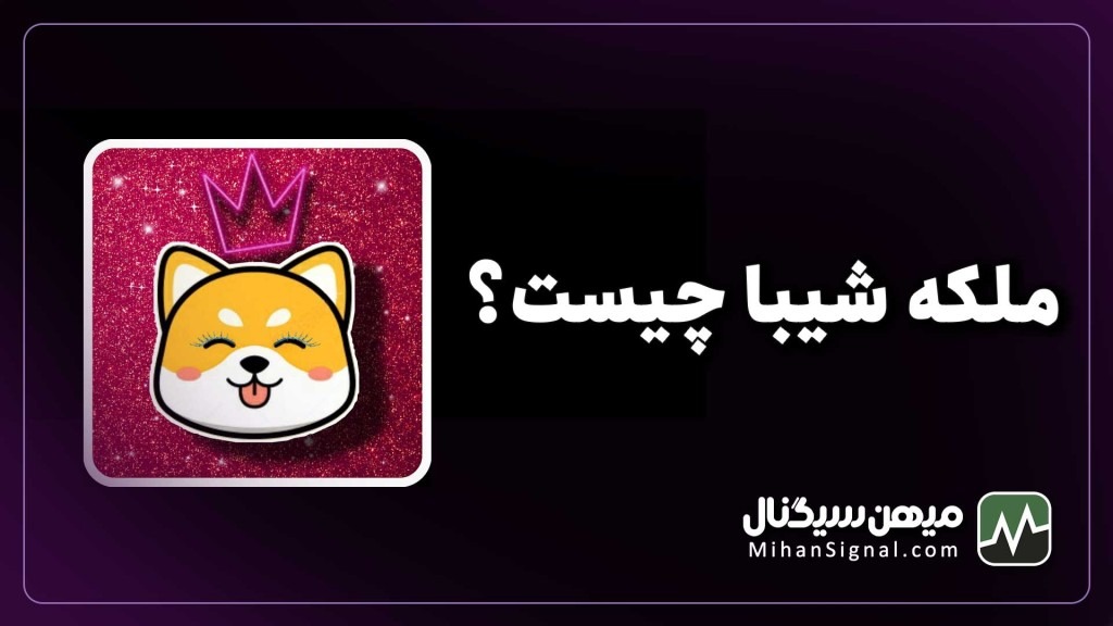 ملکه شیبا چیست؟ آشنایی با کوئین شیبا (QUEENSHIBA)