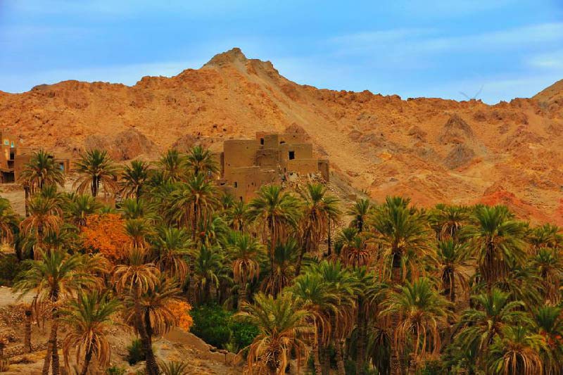 کویر زردگاه طبس