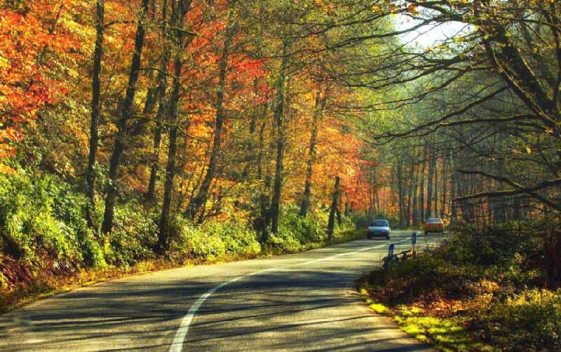 جاده اسالم به خلخال در پاییز