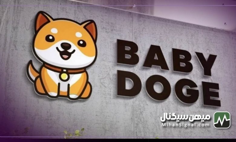 بیبی دوج کوین چیست؟ | آیا Baby Doge ارزی آینده دار است؟
