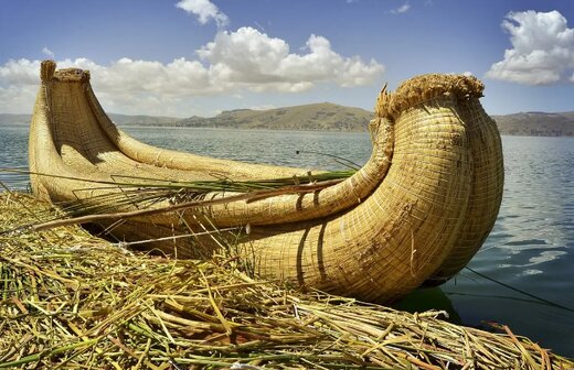 توانایی حیرت‌انگیز انسان اولیه / آنچه نیم‌ میلیون سال پیش کشف کردند!