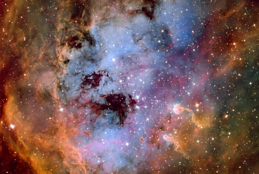 عکس | بچه قورباغه را در آسمان ببینید