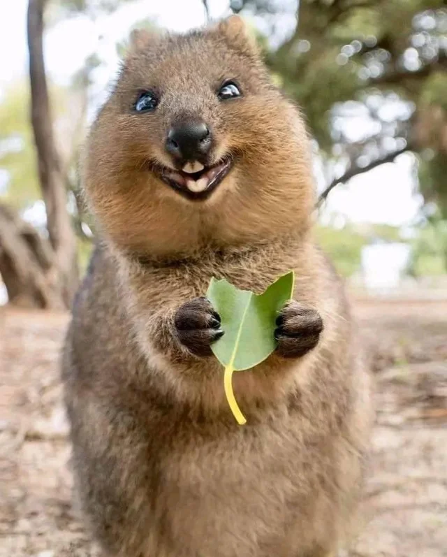 عکس |‌ گول ظاهر بامزه این هیولا کوچک را نخورید