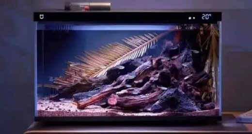 قابلیت‌های عجیب آکواریوم شیائومی