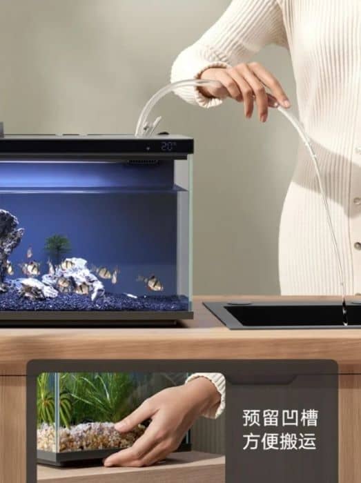 آکواریوم میجیا